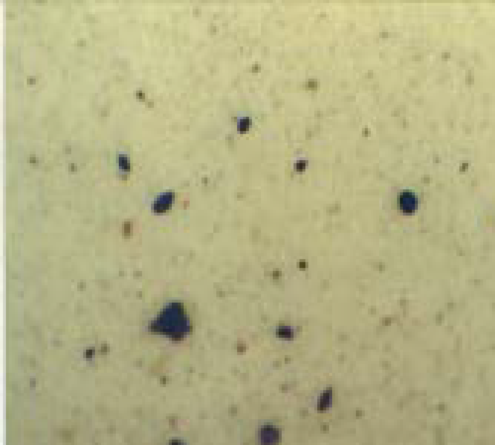 Oil Reclamation 4